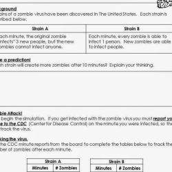 Unit 6 exponential functions answer key