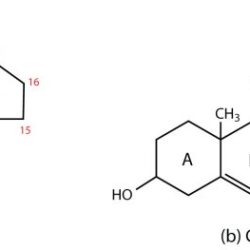 Draw the structure for the steroid nucleus