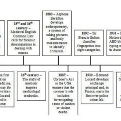 The history of forensic science timeline