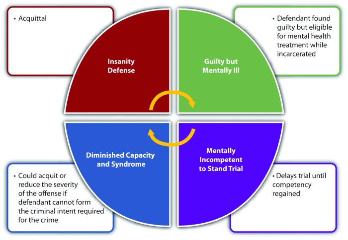 High court reviews insanity-defense case