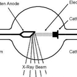 Crookes tube and coolidge tube