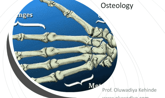 Bones of the upper limb quiz