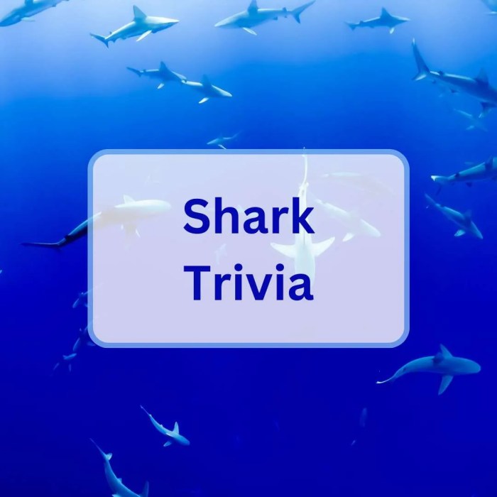 Shark trivia questions and answers