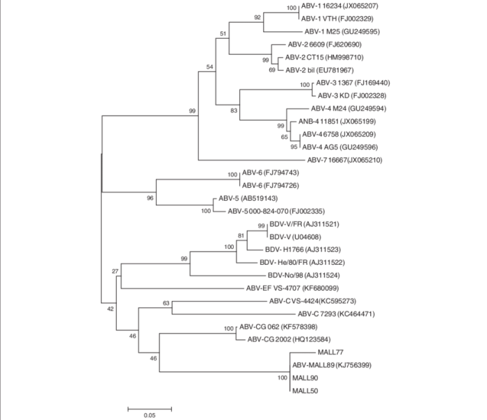 Stations activity build a phylogenetic tree