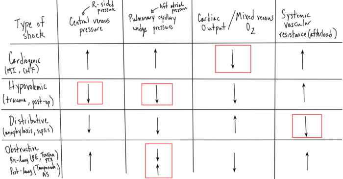 Artery vertebral subclavian explanations nbme form cardiac carotid