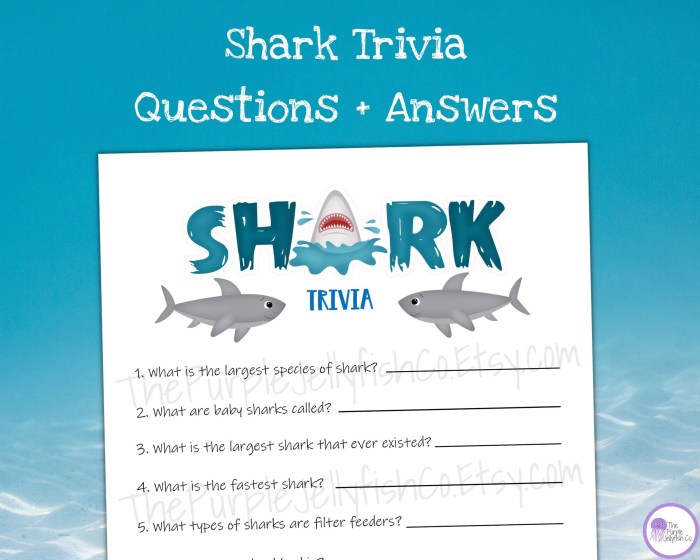 Shark trivia questions and answers