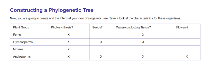 Stations activity build a phylogenetic tree