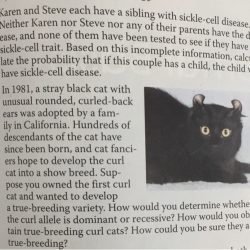 Karen and steve each have a sibling with sickle