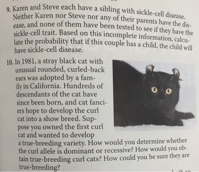 Karen and steve each have a sibling with sickle