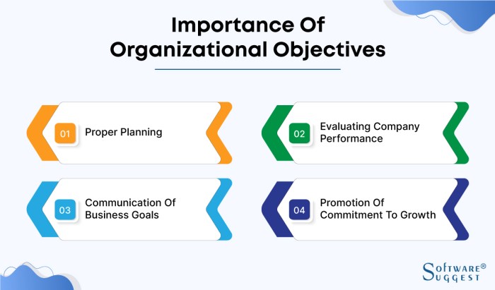 Objectives organizational