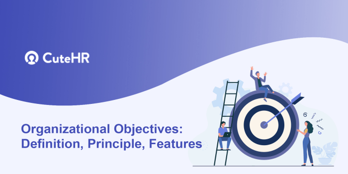 If organizational objectives and supply objectives are incongruent